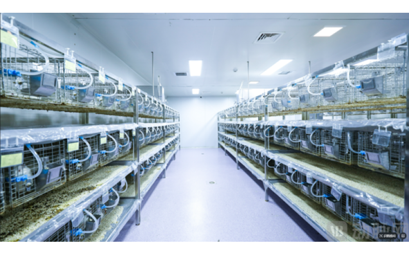 Vacuum drainage system for animal manure-An efficient collection solution from farm to laboratory